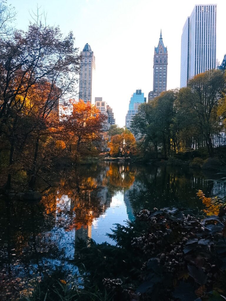Central Park pond in autumn